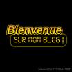 bienvenue